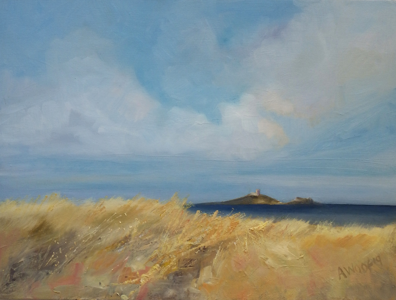 Angela Woof 'Dunes towards Fidra'